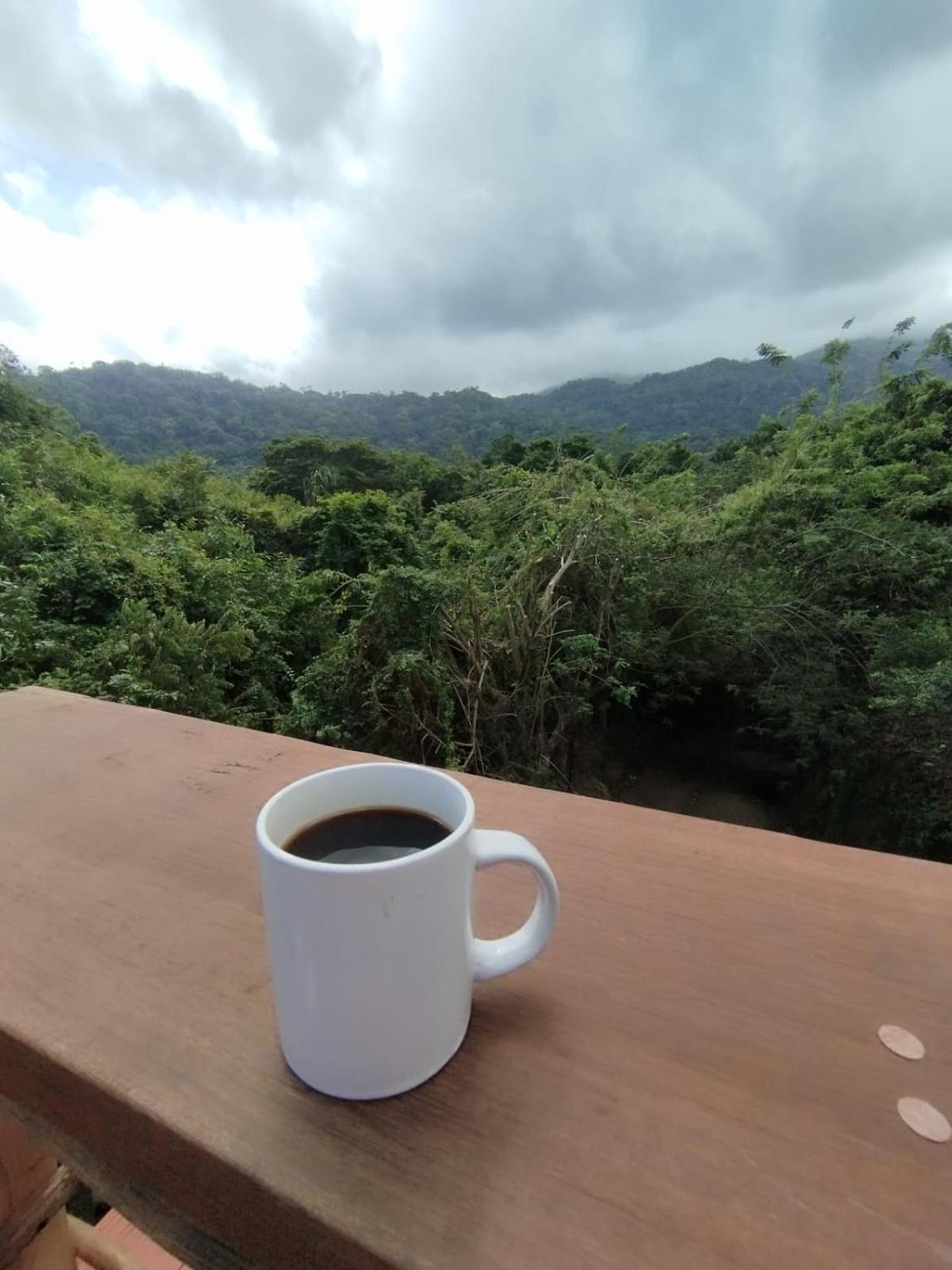Selva Maria Tayrona'S Hostel Санта-Марта Экстерьер фото