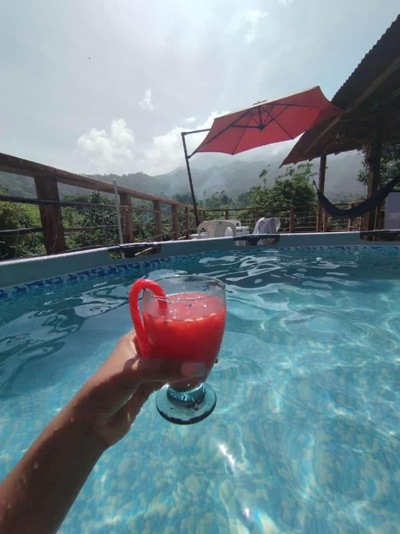 Selva Maria Tayrona'S Hostel Санта-Марта Экстерьер фото
